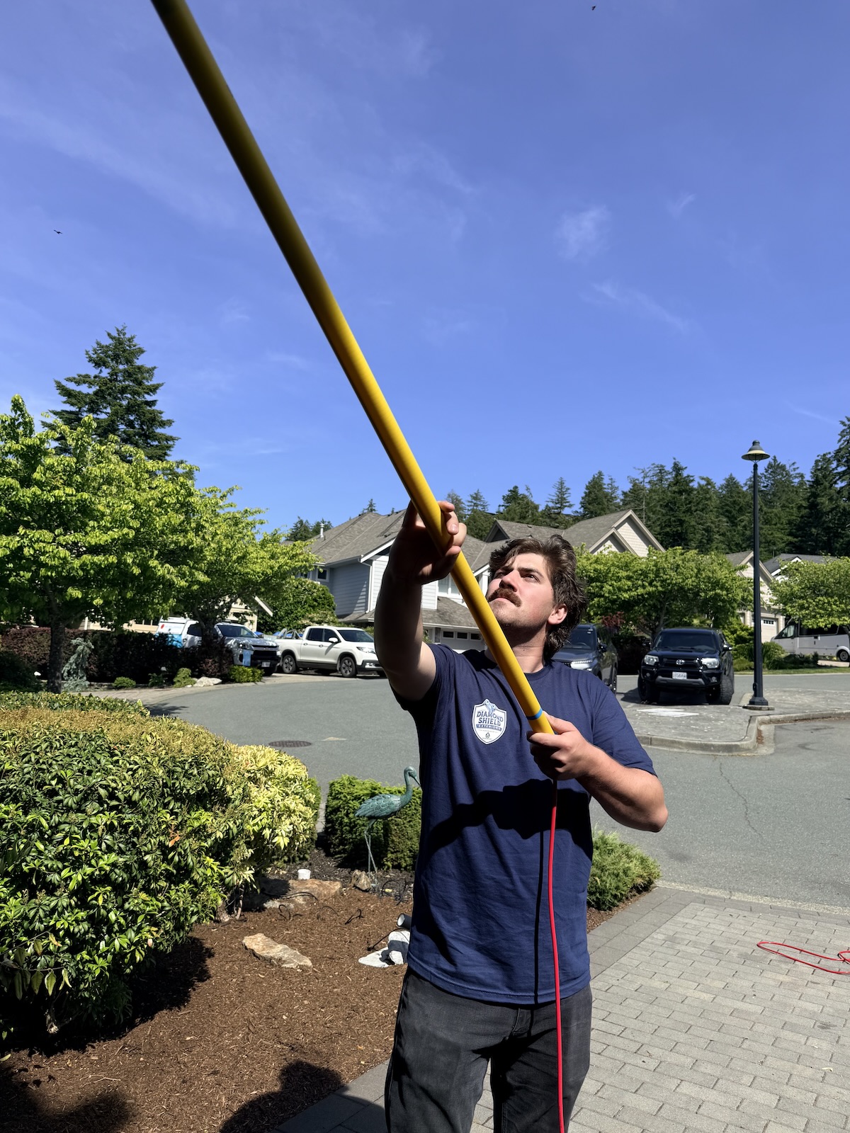 spotless window cleaning residential